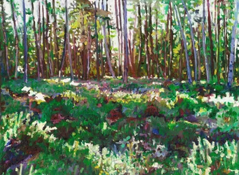 Zonlicht op Heide, 2011