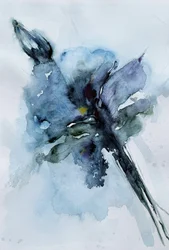 Blauwe aquarelbloesem