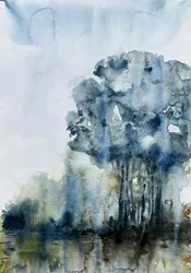 Rustige bosweerspiegeling