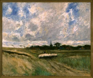 Schapenkudde