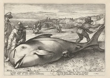 Twee mannen meten een gestrande walvis