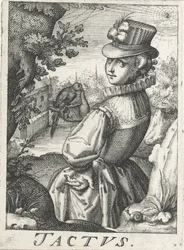 Gevoel (Tactus, De vijf zintuigen)