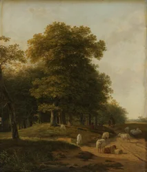 Gelder Landschap