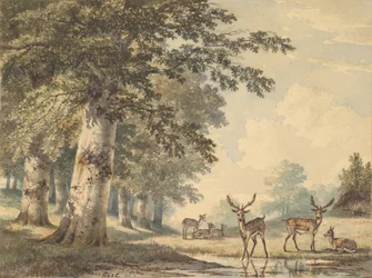 Herten onder beukenbomen in de winter