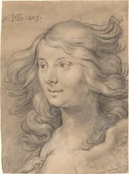 Hoofd van een sirene