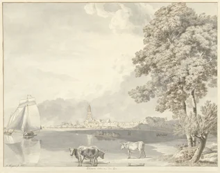 Gezicht over de Rijn op Rhenen