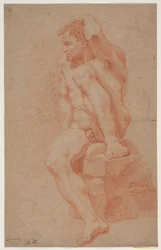 Mannelijke modelstudie