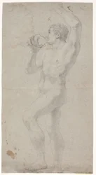 Mannelijke modelstudie