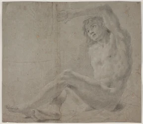 Mannelijke modelstudie