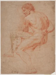 Mannelijk modelstudie