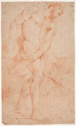 Mannelijk modelstudie, staand