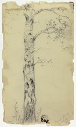 Regent Park bij het kanaal