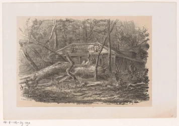 Omgewaaide boom bij Buitenlust, na de storm van 28 mei 1860