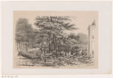 Omgewaaide boom bij Voorhout, na de storm van 28 mei 1860
