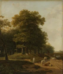 Gelders Landschap
