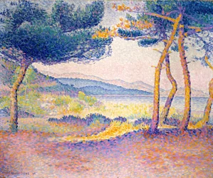 Pijnbomen langs de kust
