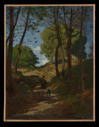 Sparren in Les Trembleaux, nabij Marlotte