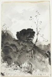 Landschap