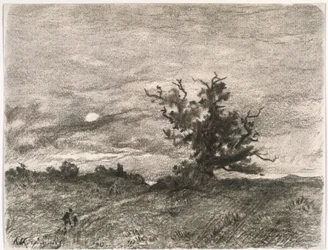 Maanverlicht landschap
