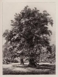 Cambridge: De tuin van Christ