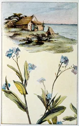 Illustratie voor 