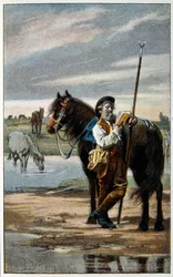 Illustratie voor 