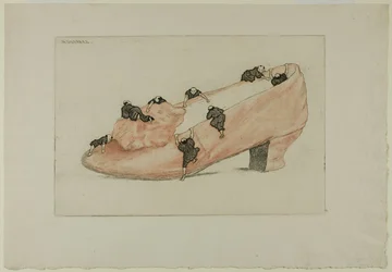 De Aanval van de Schoen