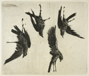 De vier dode raven