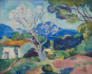Amandelboom in bloei, 1907
