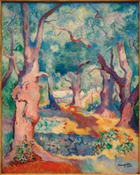 De olijfbomen in Cavalière