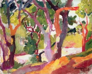 Bomen