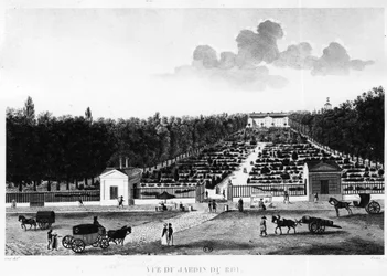 Uitzicht op de tuin van de koning: de Jardin des Plantes in Parijs - gravure door Courvoisier