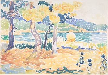 Pijnbomen aan de kust, n.d.