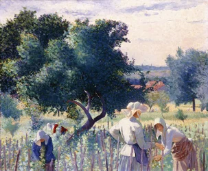 Vrouwen die wijnstokken binden, 1890