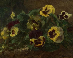 Viooltjes, 1903