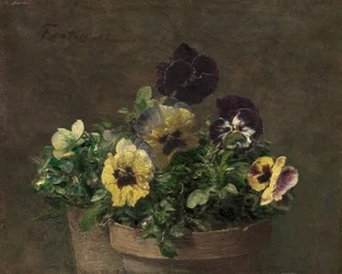 Potviooltjes, 1883