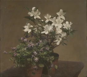 Viooltjes en azalea