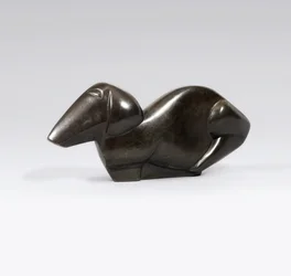 Hond