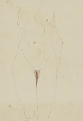 Vrouwelijk Naakt Torso