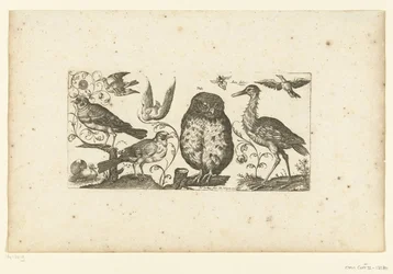 Negen vogels en een insect