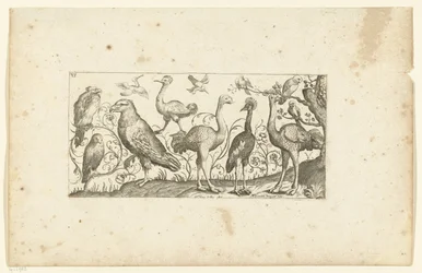 Twaalf vogels (Vogels)