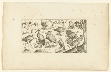 Vijftien vogels