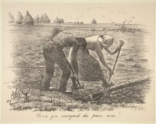 Degenen die zwart brood eten