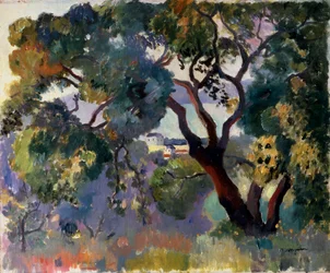 Landschap in Saint-Tropez