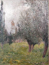 Landschap met bomen