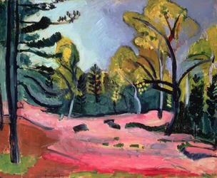 Bos van Fontainebleau