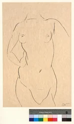 Torso van voren
