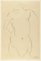 Torso