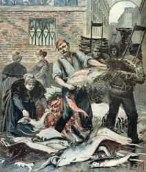 Vismarkt in Parijs