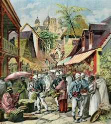 Het Franse leger in Madagaskar,1895 (Illustratie)